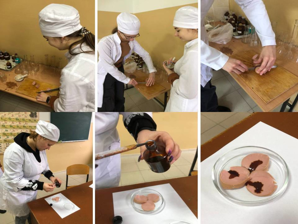 Наукові дослідження гуртківців кафедри хімії та фармації